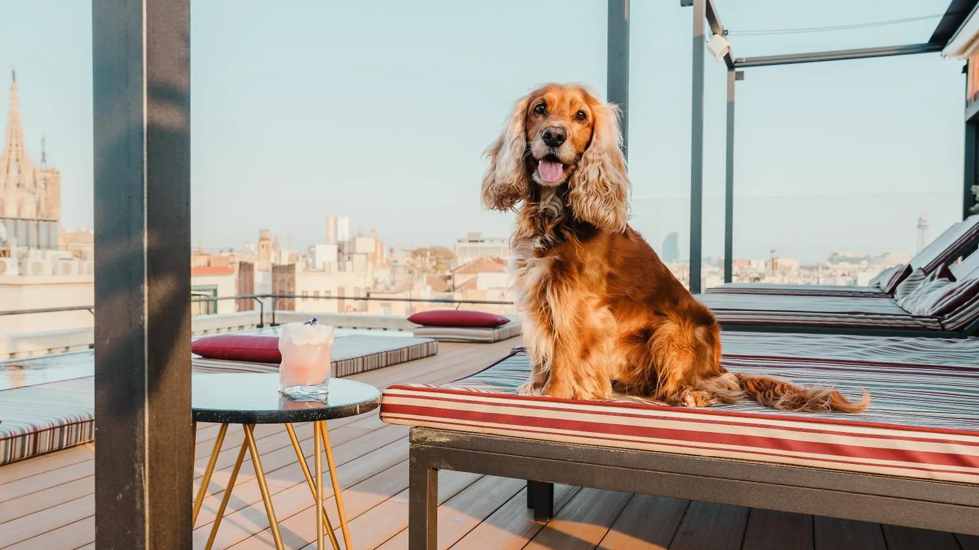 *****  Kimpton Vividora Hotel By Ihg Barcelona Španělsko